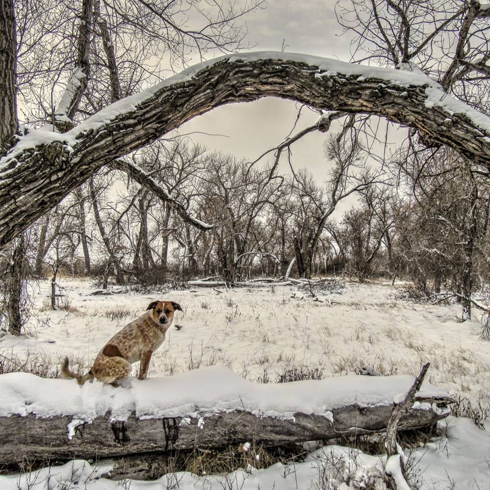 Montana snow photos from readers